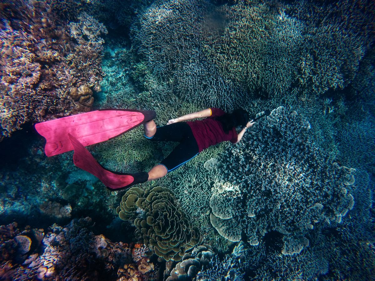 Gamat Bay dan Wall Point