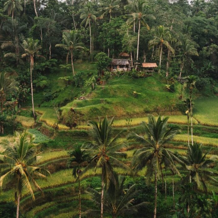 Village in the hills of Ubud